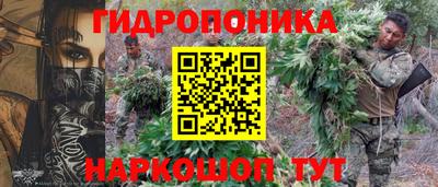 мдма Гусев