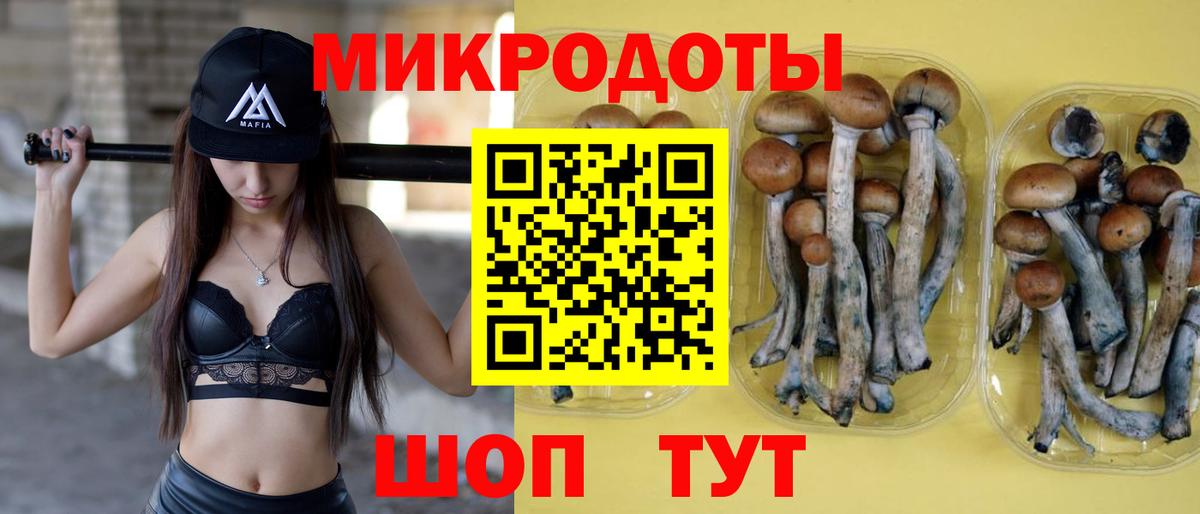 Иваново  Псилоцибиновые грибы MAGIC MUSHROOMS  Вход с VPN 